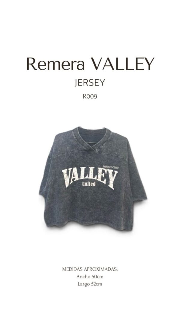 Remera VALLEY