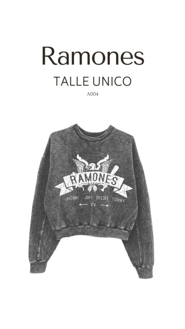 Buzo RAMONES